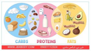 کاربوهیدرات روعن و چربی های سالم برای لاغری شکم و پهلو